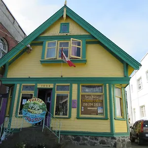  Hostel Turtle